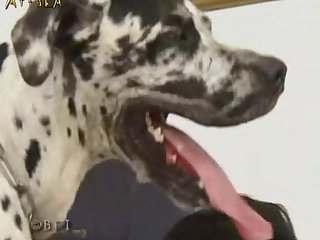 Mistress Moaned Out As Her Dog Fucked Her Teenage Pussy Spreading It Wide So All His Cock Could Be Deep In Her