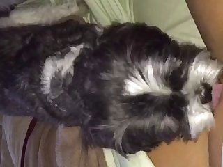 You Pornd