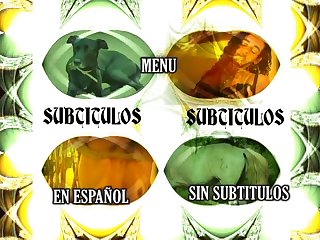 Tik Tok Download Application