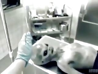 Xvideos Rare Experiment In Area 51 Hd