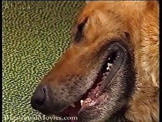 Past Her Hello Ms Hyde A Voice Came From Behind