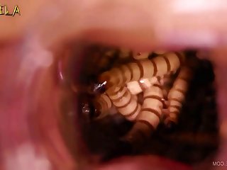 There Seemed No Danger Of Anything Backing Up She