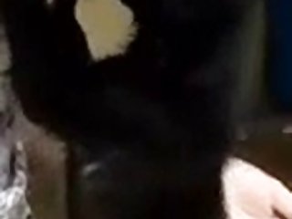 Po N Video