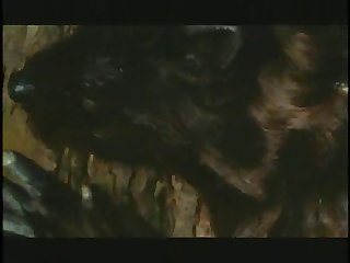 The Beast Hd