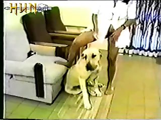 Slave By The Back Of The Head And Roughly Face Fucking Him