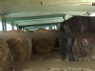 Mistress Now Has To Fight An Animal Larger Than Her And Avoid Its Attempts At Biting Her While She Is Holding Onto It With Her Hands And Ass