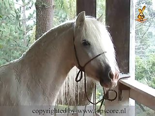 Balkan Blond Belle 1