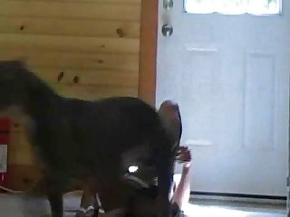 Man Fucks Pitbull Porn