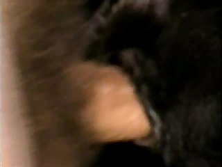 Beastiality Cam