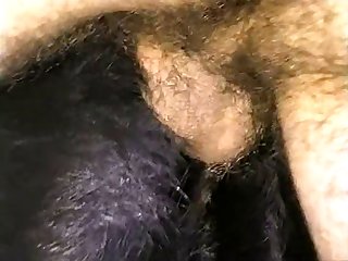 Beastiality Cam