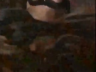 Kiss Animal Porn