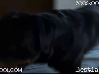 Hot Zoo Sex