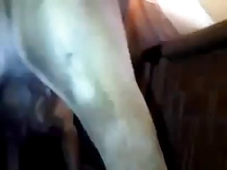 Alisson Prod Zoofilia