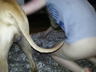 Man Fucking Animal
