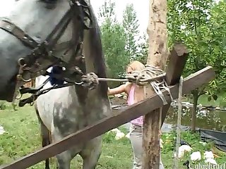 Zoophilia Erotic Stories