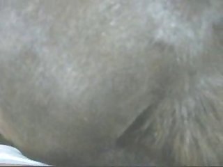 Artpfzoo