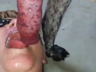 X Videos Dog Fuck Girl