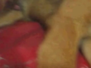 Ameture Dog Fuck