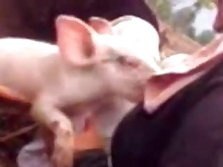Woman Fuck Dog Video