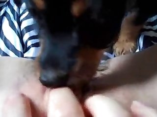 Jessie Dog Fuck