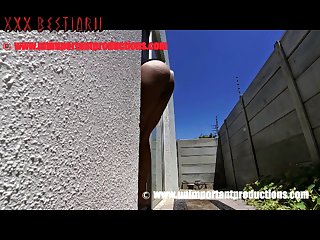 Stuffed Animal Sex Gif