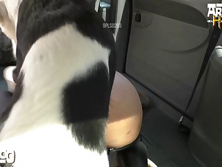 Dog The Bounty Hunter Porn