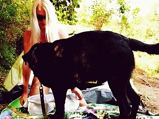 Black Porn Dog