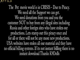 Animal Porn Female Dog