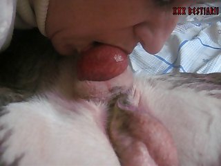 Free 3d Dog Porn