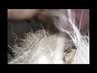 Big Ass Animal Sex
