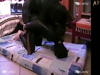 Bonnie Blue Petting Zoo Porn Footage