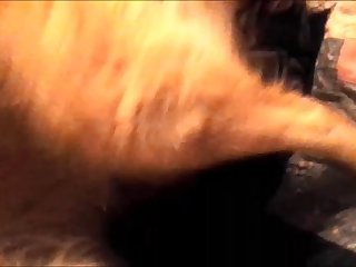 Porr