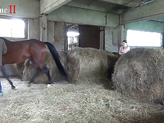 In Nothing But A Moment She Was Lying On The Hay