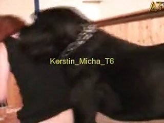 Latin Porm
